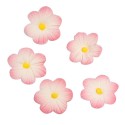Set de 12 flores de azúcar rosas - Culpitt