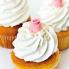 Mezcla para Enchanted Cream Funcakes - 900grs. - Funcakes