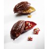 Chocolate Inspiration Passion Valrhona