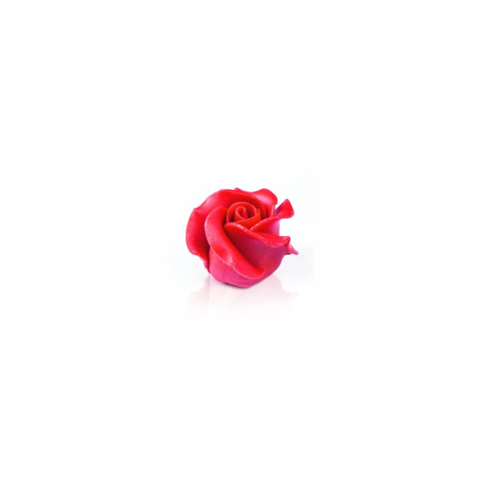 Rosa roja grande de chocolate